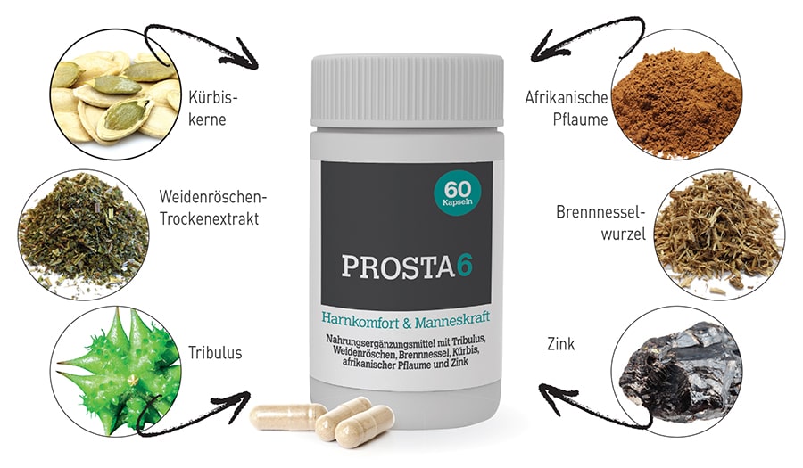 Prosta6 - Zutaten